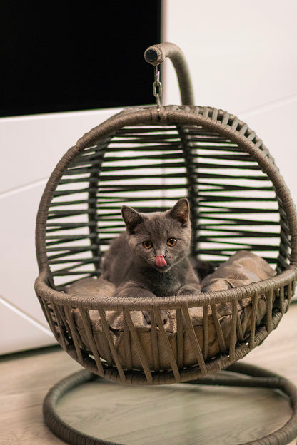 РАЙ за Вашето Коте - Люлка за Котенца ChillTails